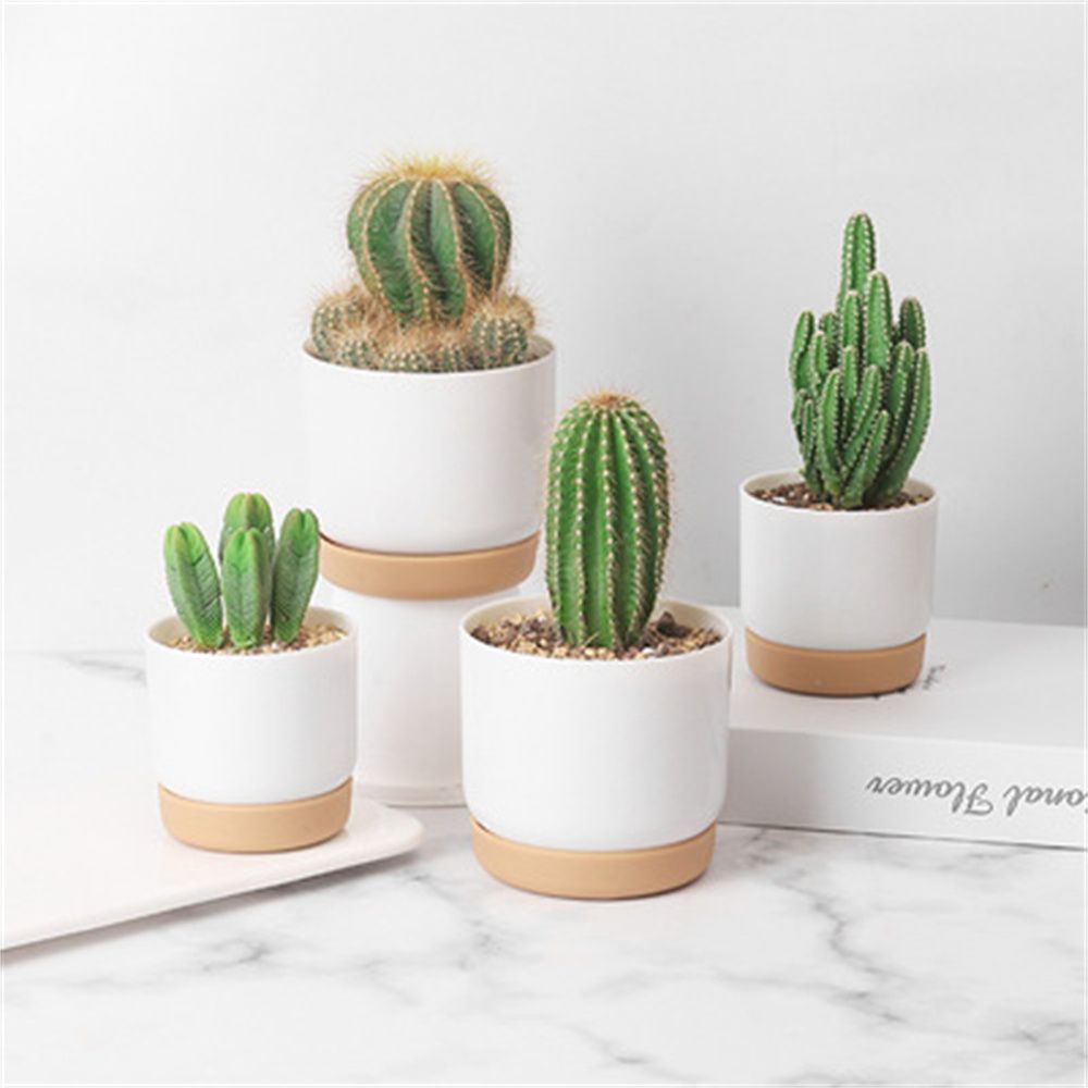 Cactus Mix Pot - Ronde Cactus Vetplanten Tuinbenodigdheden Zelfwatergevende Bloempot