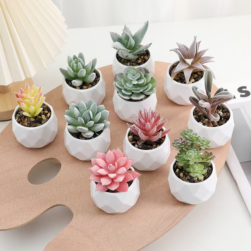 Mini Kunstplanten Simulatie Gr - Cactus Mix Pot recensie en prijs