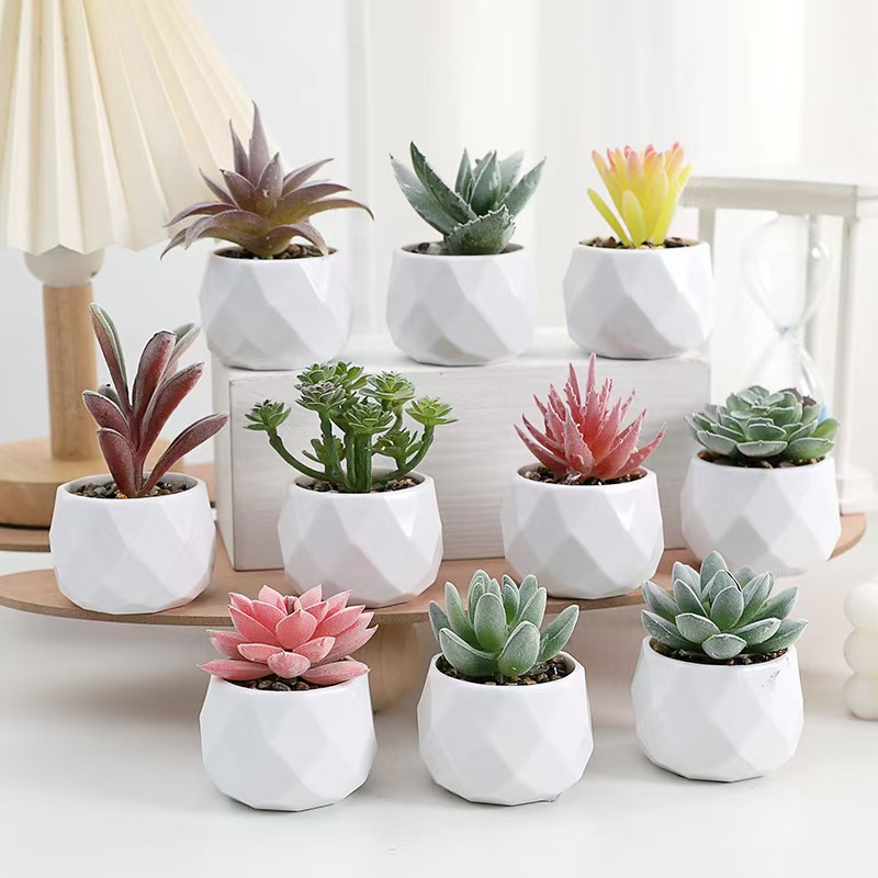 Mini Kunstplanten Simulatie Gr - Cactus Mix Pot recensie en prijs