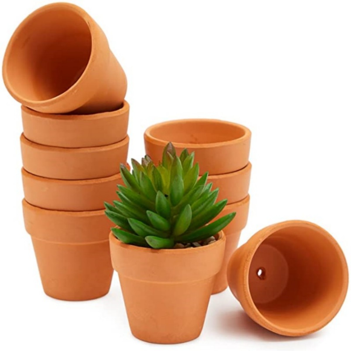 16 stuks 1,8 '' Terra Cotta po - Cactus Mix Pot recensie en prijs