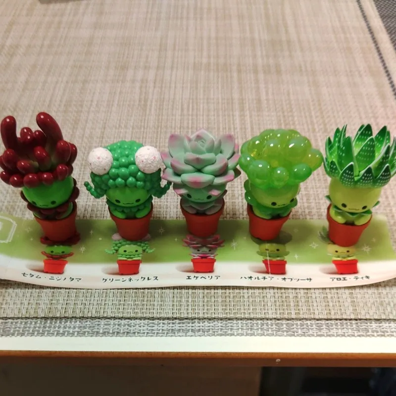 Originele QUALIA Kawaii Gashap - Cactus Mix Pot recensie en prijs