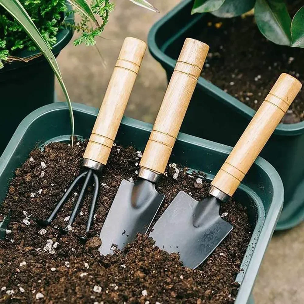 3-delige mini-tuinset, klein f - Cactus Mix Pot recensie en prijs