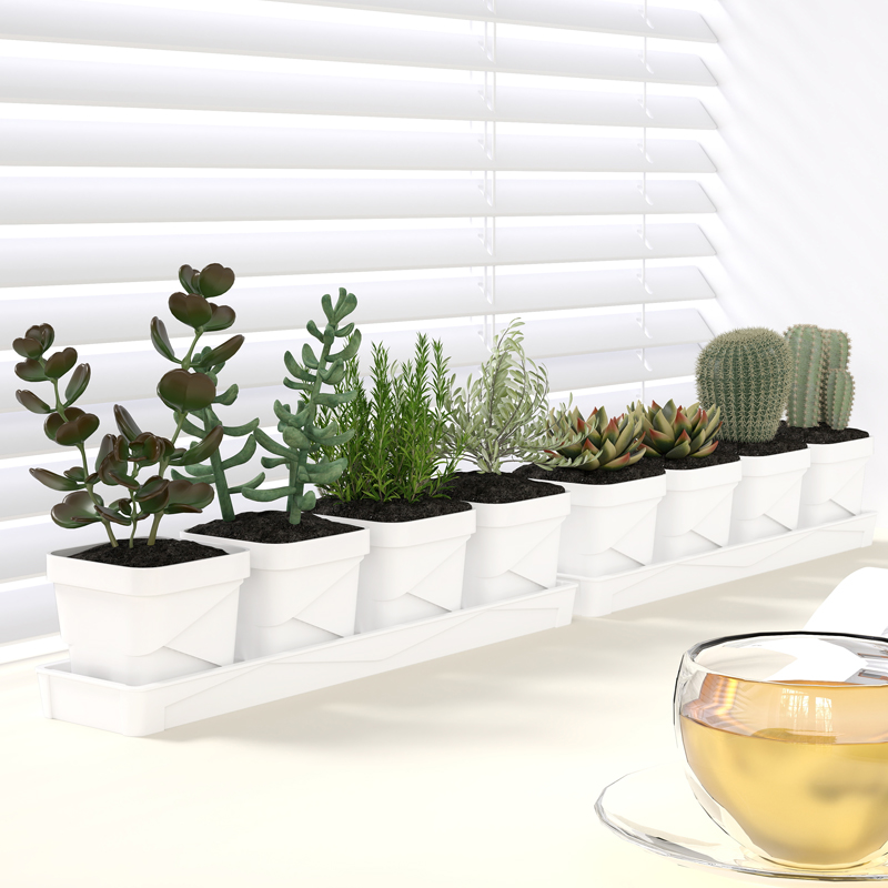 Noordse minimalistische succul - Cactus Mix Pot recensie en prijs