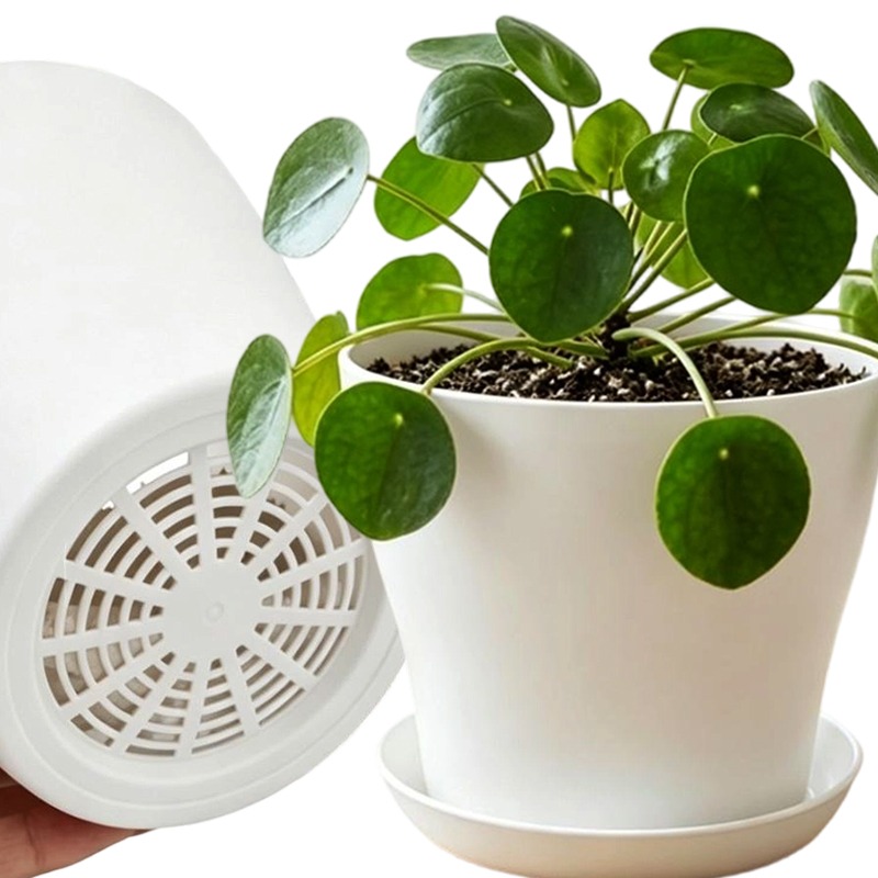 Plantenset met drainagegaten e - Cactus Mix Pot recensie en prijs